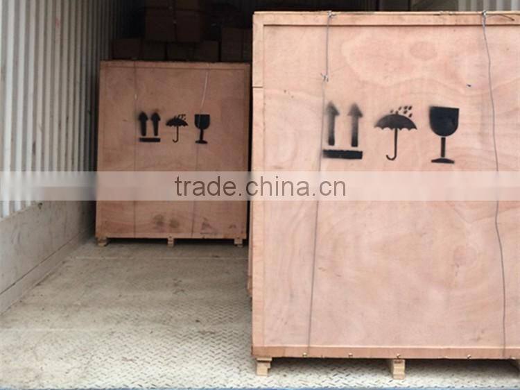 Stainless Steel Sesame Oil Press Machine