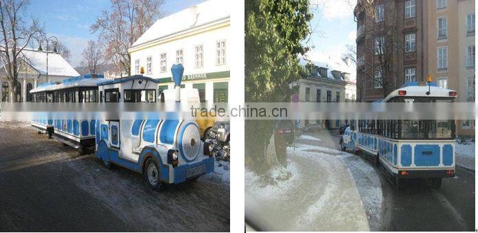 Popular Amusement Park Train