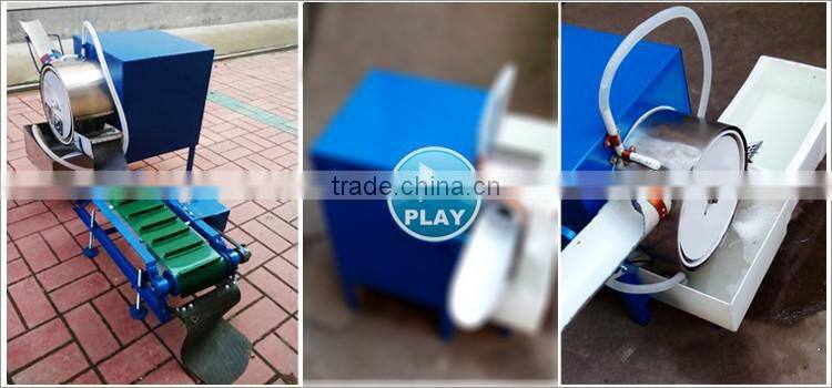 Factory supply egg washer machine for sale with low price