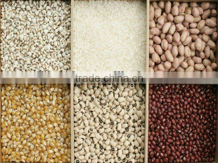 Small Multifunction Stainless Steel industrial Grain Grinder