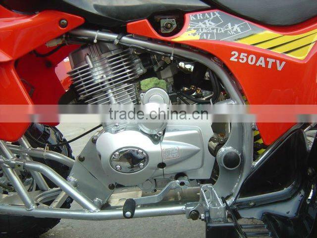 Gas-Powered 4-Stroke Engine Quads Bike with Double Cylinder EngineWZAT2505