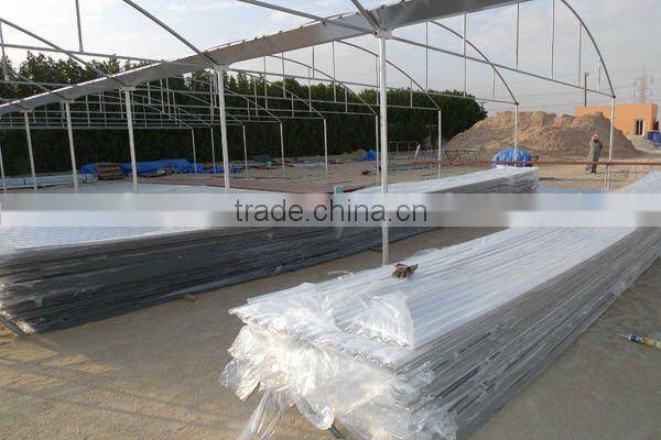 Polycarbonate Garden Greenhouse (Valuview ROMA)