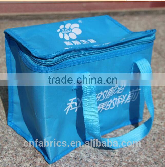 Alibaba china Customized Polyester Promotional Lunch Bottle Food Cooler Bag