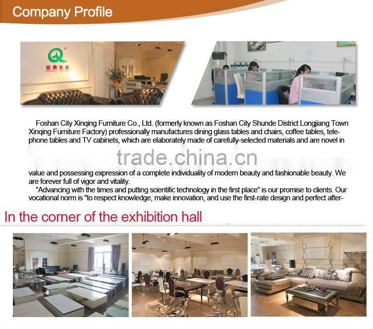 Living room furniture modern design TV cabnit E307