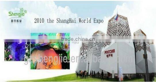 Artificial orange tree with lights