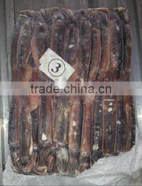 150-200g Frozen Illex squid