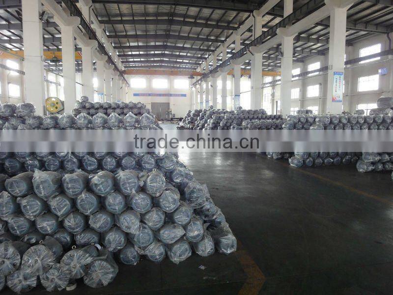 Cast Iron Housing Three Phase IE3 Motor