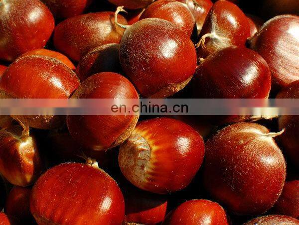 Hot sale picking machine nut picking olive harvest machine