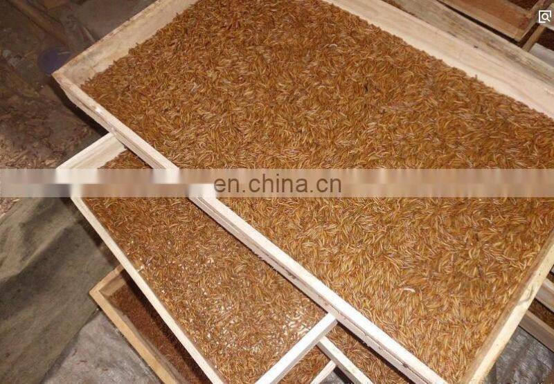 High level Dust- free multifunctional tenebrio molitor Separator machine