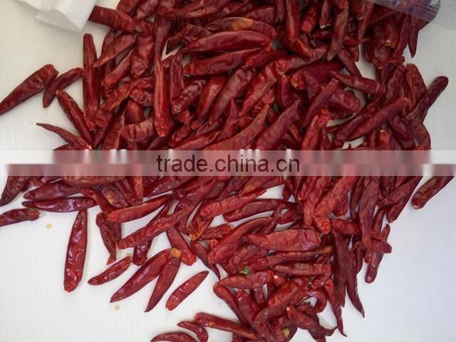 Dry red chili with high quality