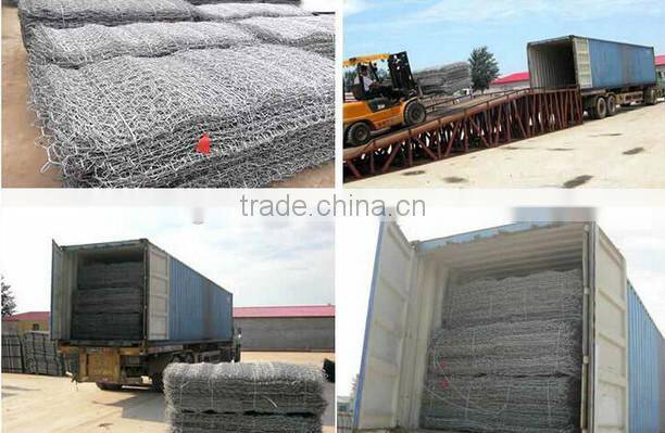 stainless steel hexagonal mesh (professional factory)