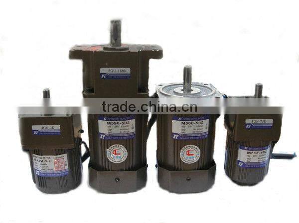 AC Induction motor with Gearhead