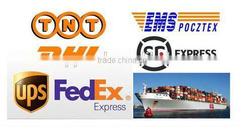 2016 New Pique Polo Shirt With Long Sleeves