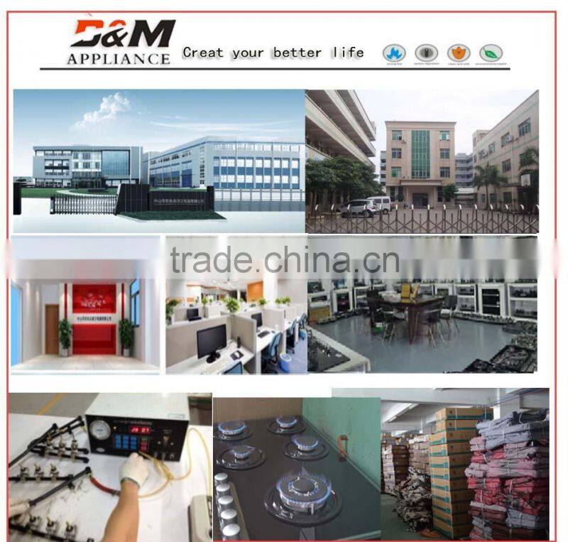 newest cast iron gas burner/ build-in gas stoves