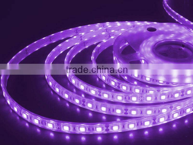 Flexible LED Strips, High Quality High Brightness 5050SMD, 3 Years Warranty for RGB LED Strip Light, CE Rohs Approved