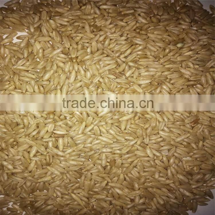 overnight oats hulled oats for made oatmeal