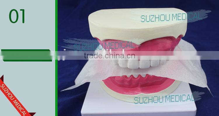 Teeth care model