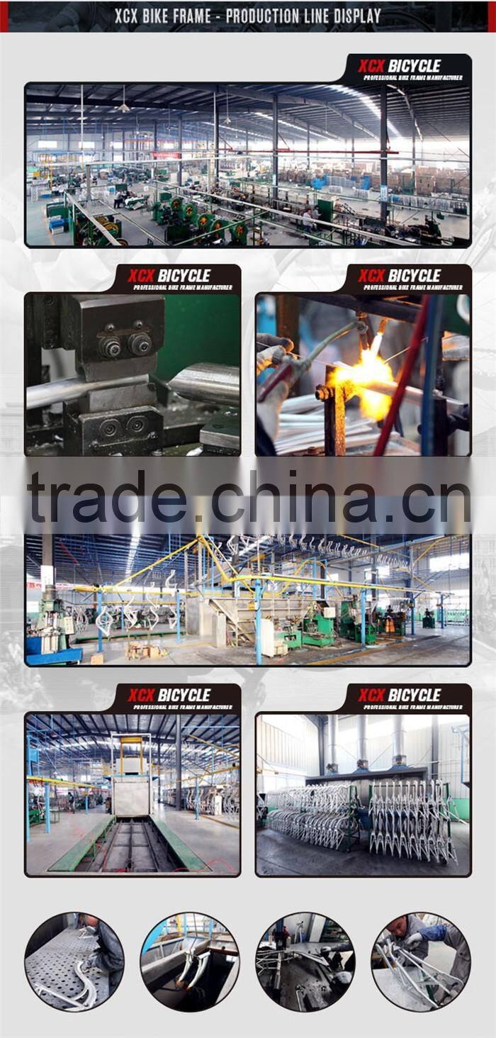 Photo Picture Chromoly 4130 Fixie Painting Bike Frame