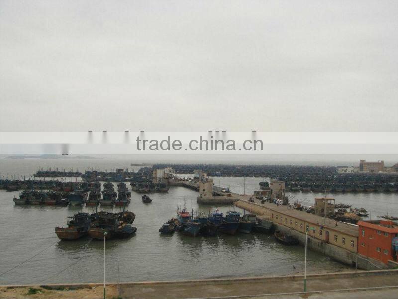 2016 Frozen baby octopus 20-60g/pcs for sale