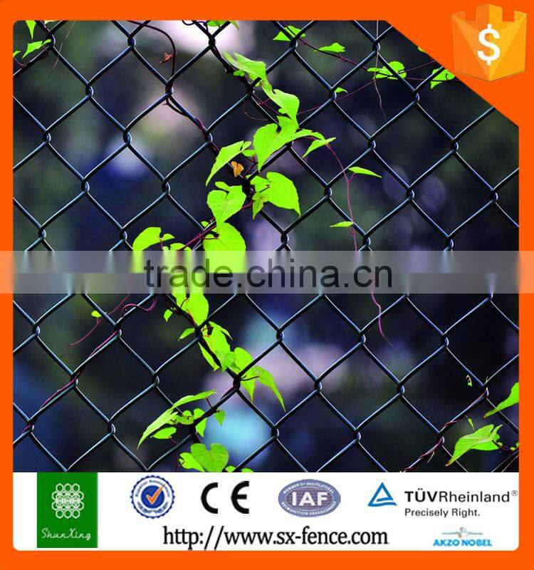 Alibaba Hot dipped galvanized wire chain link fence for hot sale!!!