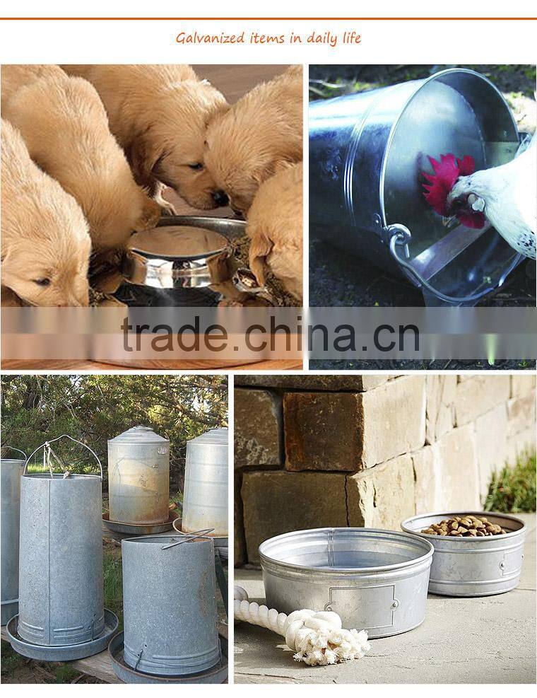 Wholesale galvanized Metal poultry chicken feeder