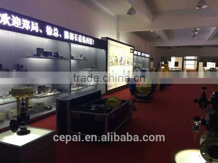 WZPK-240 sheathed type explosive-proof thermal resistor