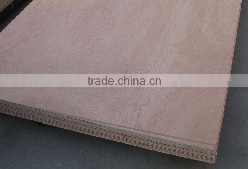 High Quality Dubai Market Commercial Plywood at Wholesale Price