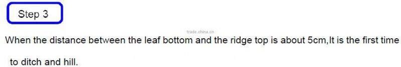 Cultivator Vegetable Garden Working