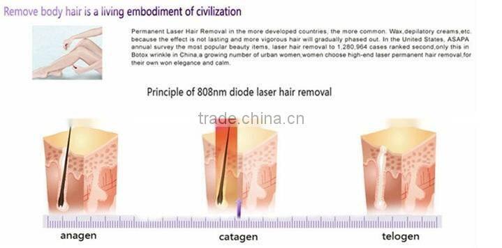 Newly designed most advanced professional vertical 808nm diode laser hair removal skin spa medical device