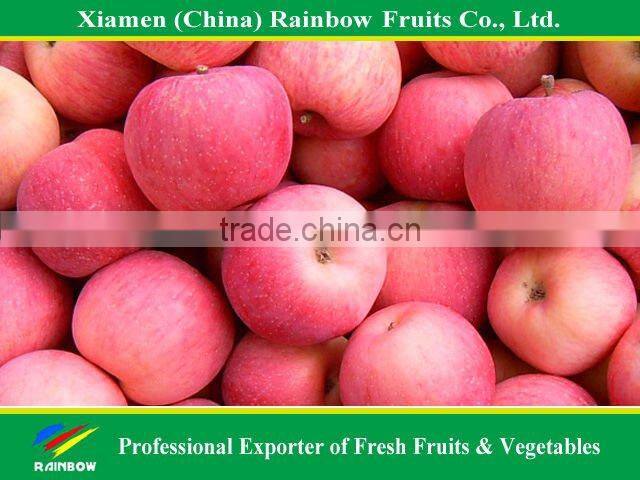 apple fruit