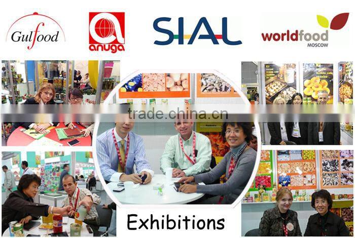 tomato paste exporter