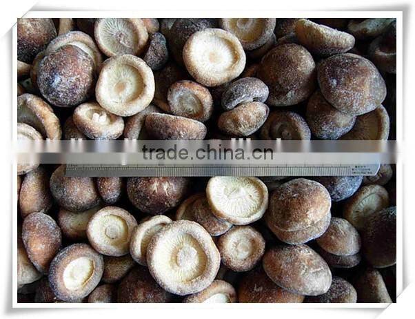 Best selling fresh frozen shiitake mushroom