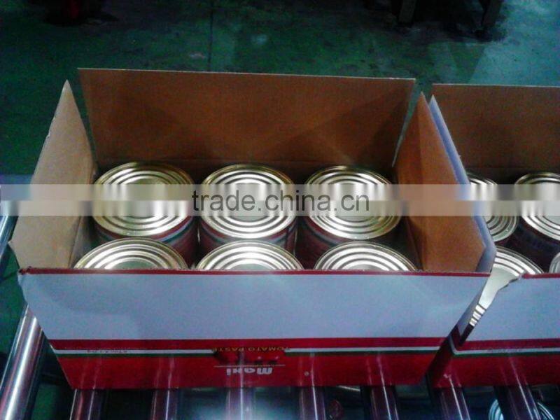 oem brand canned tin packing tomato fresh ketchup tomato paste sauce
