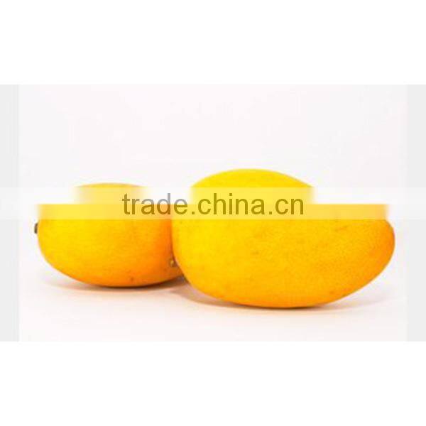 Lifelike plastic green apple / PVC artificial apples for display or children's early learning