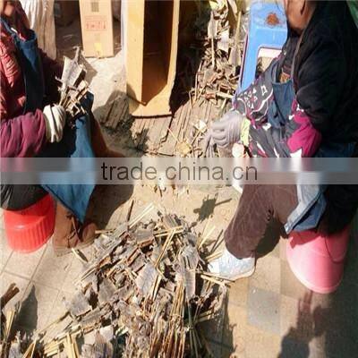 12 Pairs One Carton Gecko