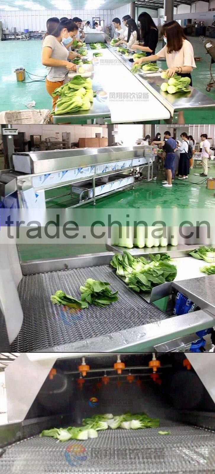 Water Recycle Saving Vegetable and Fruit Washing Cleaning Machine