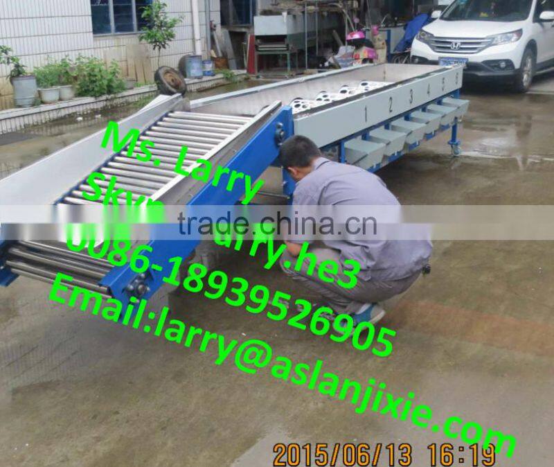 nut size sorting machine/walnut size grader/walnut size sorter