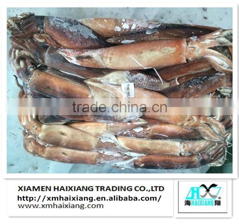 Frozen squid