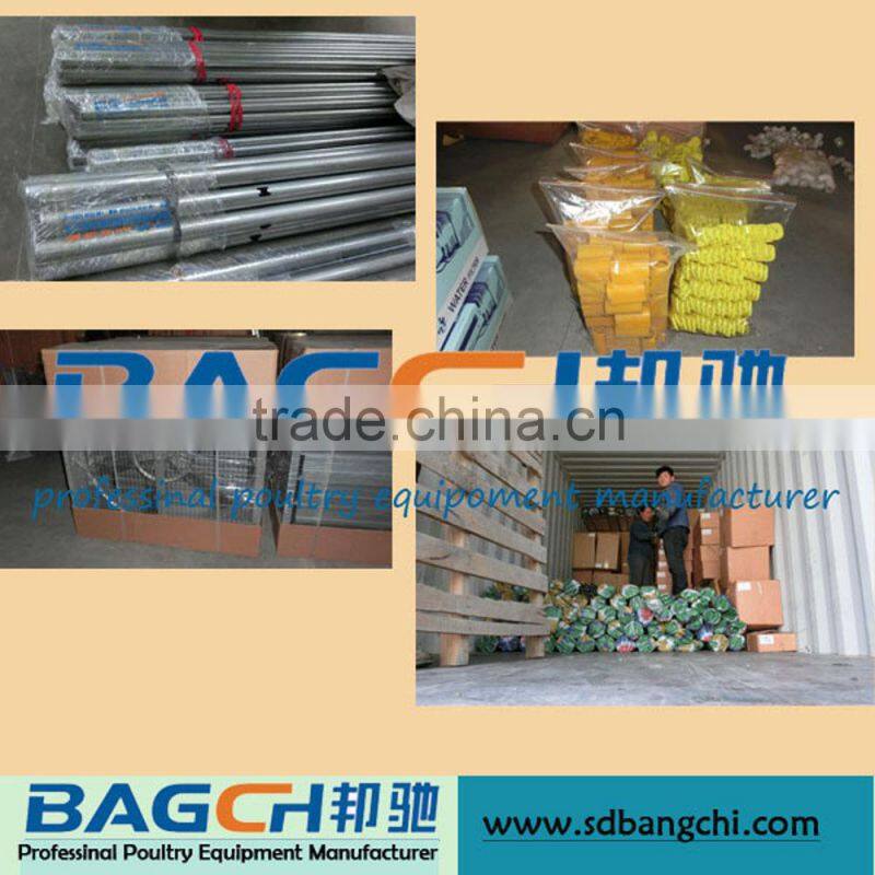 Ready Sale Chicken Farming Materials/Equipment for Poultry