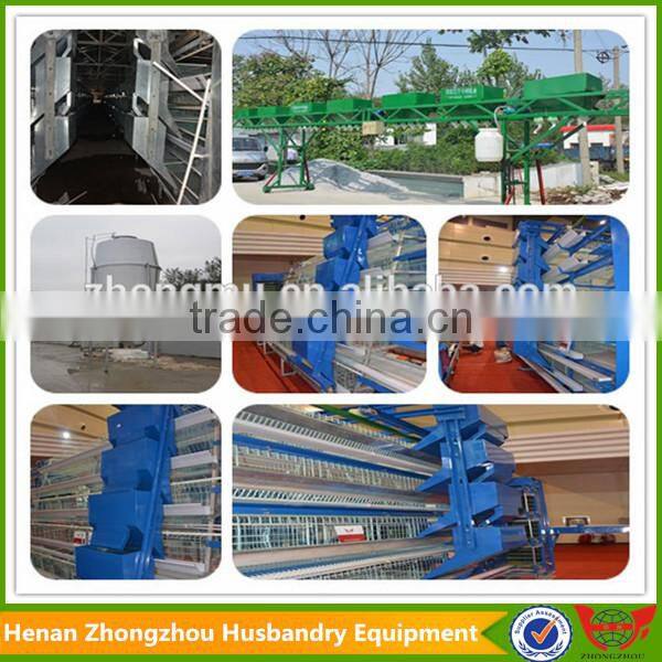 Chicken farm popular use automatic poultry manure belt removing system