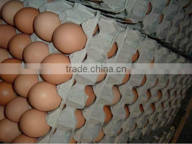 paper pulp egg tray of 30 cavities