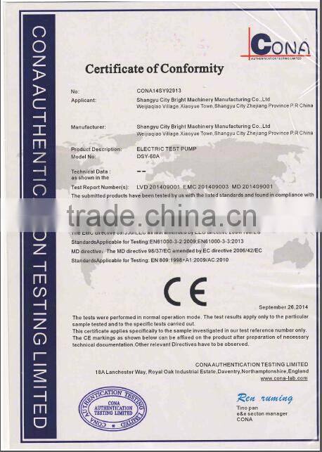 water pump 220 V DSY-60A