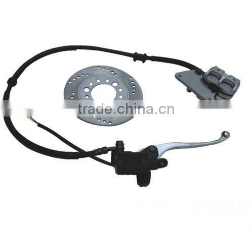 motorcycle brake disc/brake disc assembly