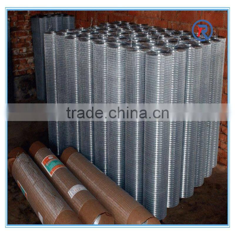 china cheap Square or rectangular hole shape and welded mesh type 1/2 inch galvanized welded wire mesh