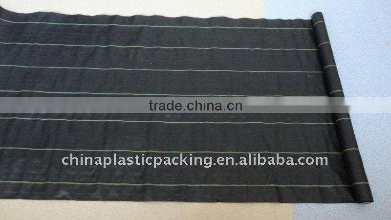 Garden with anti-grass cloth