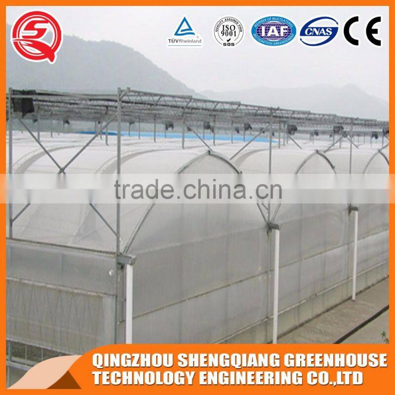 2017 China plastic low cost greenhouse agriculture farming for sale