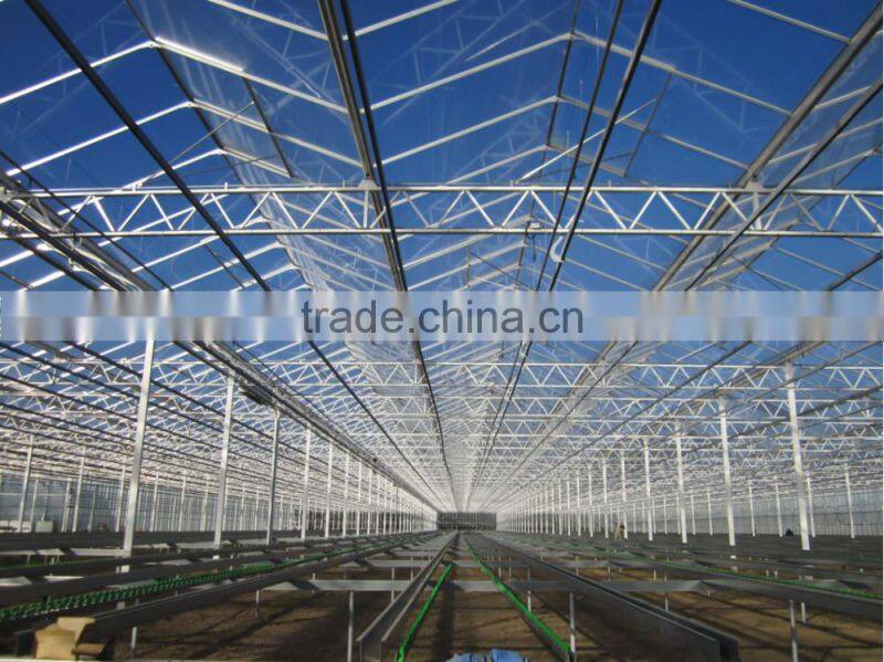 SP-V-96 Venlo Multi-Span Glass Greenhouse for vegetables and flowers