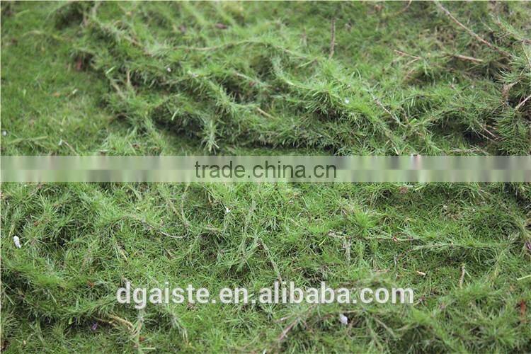 moss wall mat decoration indoor artificial green wall moss carpet
