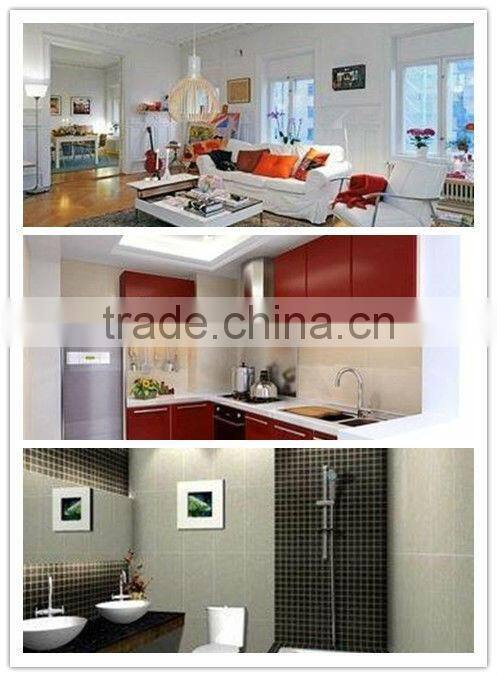 Germany Best Single Use Antibacterial Floor Mop