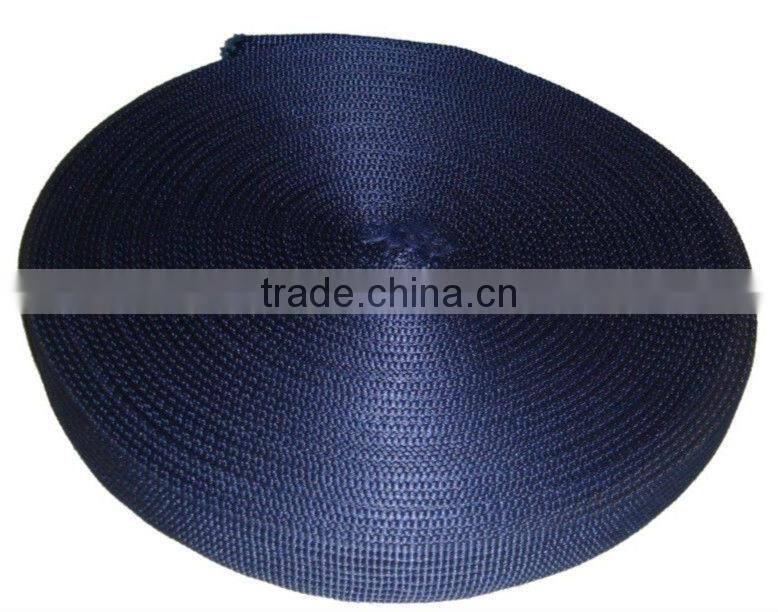 PP Nyon Webbing Leashes